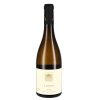 2022 Ladoix Villages blanc AOC, Domaine d`Ardhuy