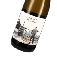 2023 Pecorino dAbruzzo DOC Contesa, Contesa