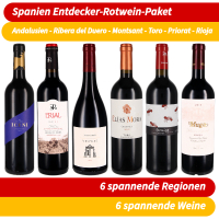 Das Spanien Entdecker-Rotwein-Paket (6 Flaschen)