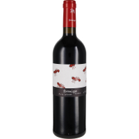 Das Spanien Entdecker-Rotwein-Paket (6 Flaschen)